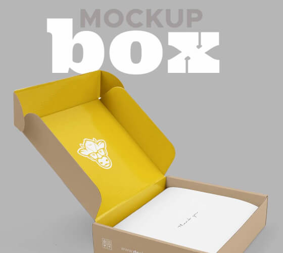 BOX MOCKUP