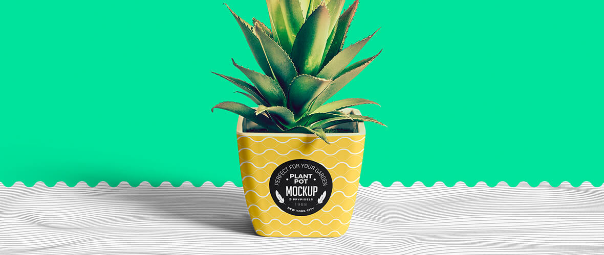 Mockup Vaso de planta