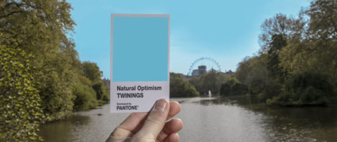 Natural Optimism, Pantone