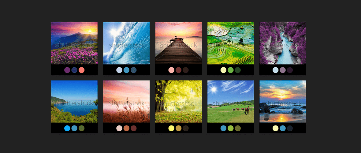 Como criar paleta de cores com as imagens do Shutterstock